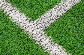 EPA Report: Synthetic Fields are as Safe as Grass