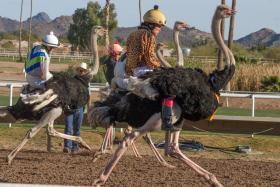 If the concept of Olympic breakdancing has made many in the USA take a step back and scratch their heads, it’s time to put things in perspective with this review of a few wild and completely real sports being contested today. From fire soccer to ear pulling to chess boxing to a lot more, it’s clear the world of sports is not only wide, it’s weird.