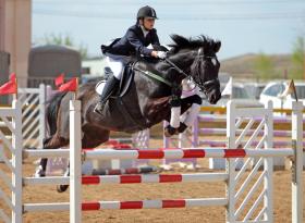 The 2026 Equestrian Sport Productions Spring Series, featuring USEF Premier “AA”–rated competition and Jumper Level 6 alongside FEI-sanctioned classes, has been going on at Palm Beach, with events from April 10–13 and April 16–20 at Wellington International.