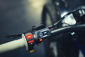 Ebike Bosch Festival