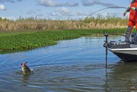 Anglers will need more than history to excel in Bassmaster Elite at Champlain