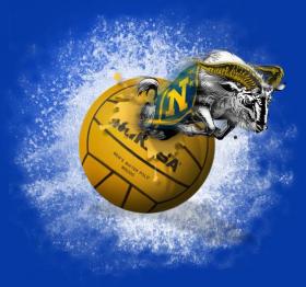 Navy Water Polo