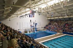 USA_Diving