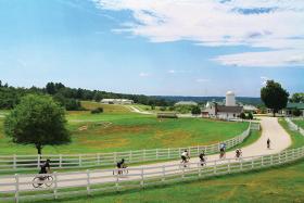 Stay-to-Play: A Virtual Roundtable