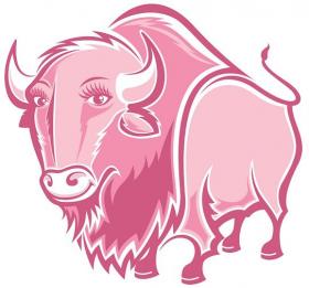 pink-buffalo