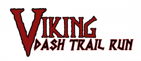 VikingDash