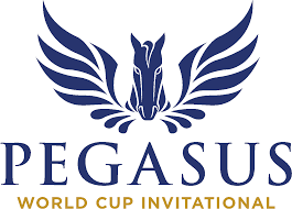 PegasusCup