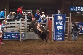 Bucking Convention: Rodeo Has New Grounds for Growth