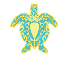 CarolinaCup