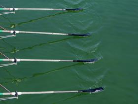 Oars