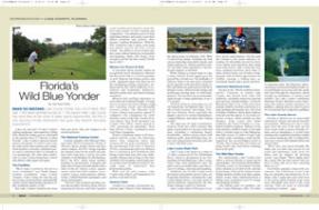 Florida’s Wild Blue Yonder: Lake County, Florida