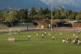 Growing Sports Events, Inside and Out