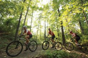 Top Sports Venues Highlight the City of Colleges