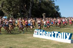 Tallahassee is pretty unbeatable