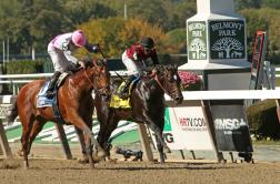 The Belmont Stakes, the third jewel of the triple crown, is ready to run