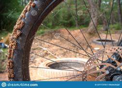 Mountain Biking in Maine