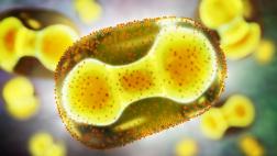 Five Tactics for Mitigating the Risks of Monkeypox and Other Viruses in Sports