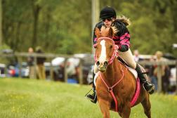 Chester County, Pennsylvania | Photo by John Plucenik