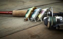 Bass fishing in 2023