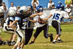 SFIA Team Sports Report Findings