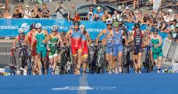 Get Your BID On: World Triathlon Championship Events