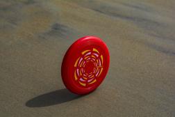 Ultimate action on the field