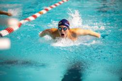 Image courtesy of the AAU