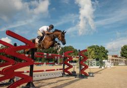 Sarasota, FL | Photo courtesy of Fox Lea Farm