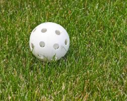 Wiffle Ball Championship