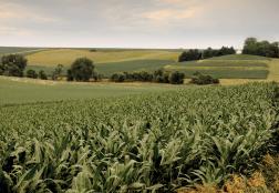 Photo © Nate Hall | Dreamstime.com