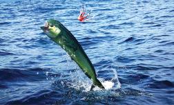 Photo © Jason Richeux | Dreamstime.com