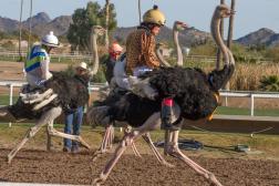 If the concept of Olympic breakdancing has made many in the USA take a step back and scratch their heads, it’s time to put things in perspective with this review of a few wild and completely real sports being contested today. From fire soccer to ear pulling to chess boxing to a lot more, it’s clear the world of sports is not only wide, it’s weird.