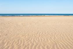 Summer is still happening in the mountains of Western North Carolina