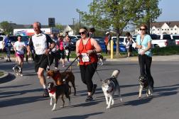 Fido-Friendly? No Dogs Allowed? The Canine Conundrum in Races