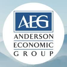 Anderson Economic Group
