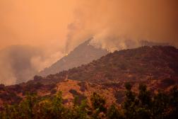 In what is being described as “an unprecedented show of unity,” four major marathons (Boston, New York, Los Angeles and Chicago) are issuing special branded merch with 100 percent of net proceeds going to Together LA, a fire relief initiative. It’s not the first time sports tourism has supported a cause but never before have four big races done so. 
