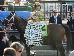 Fake Black-Eyed Susans, Imported Roses: Secrets of the Triple Crown