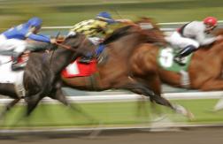 Sovereignty, who took the Kentucky Derby in a thrilling finish, won’t be running in the Preakness, but will be seen at the Belmont Stakes. That trips up the Triple Crown for this year. How will it impact the rest of the races, and what are some of the emerging storylines that we can expect to see? Here’s the inside track from the railbirds.