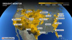 Drier Summer Could Bring Danger of More Wildfires