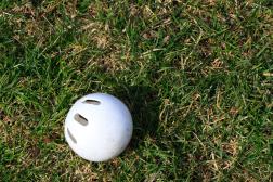 The 46th World Wiffle® Ball Championship returns to Crown Point, Indiana, August 16-17 at the Crown Point Sportsplex.