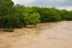 How to Help Victims of the Texas Hill Country Floods