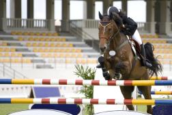 High-Level Equestrian Action Coming to Loudoun