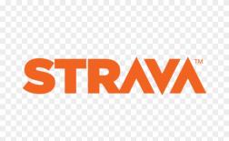 Strave Report_Year End 2025 Strave Report_Year End 2025