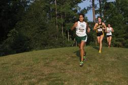 Crafting the RFP That Gets Results