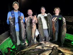 Bowfishing Tournaments Emerging as Weapons to Control Invasive Species