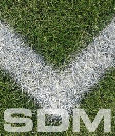 Groundbreaking Research Report on What Sport Means in the U.S.