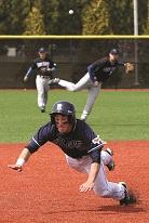 Play Ball! These Cities Are Ready