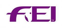FEI Logo