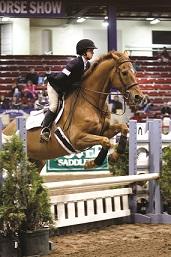 Rodeo and Equestrian Events Across America