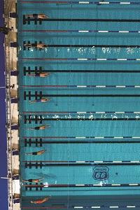 Everybody Into the Pool